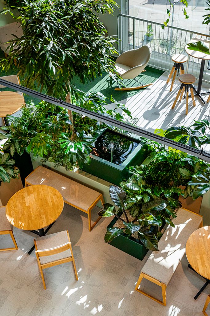Biophilic Design Hal - sfeervolle hal 10