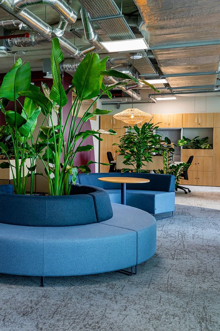 Biophilic Design Hal - sfeervolle hal 5