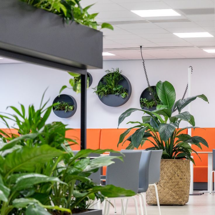 Biophilic Design Keuken - sfeervolle keuken 12