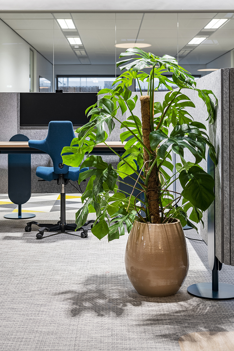 Biophilic Design Werkkamer - sfeervolle werkkamer 16