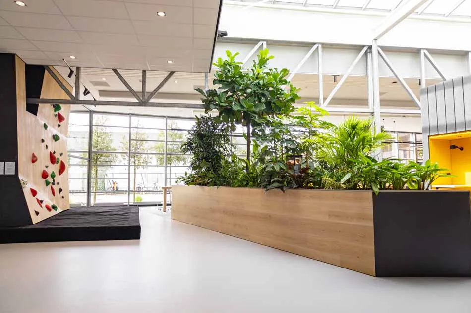 Biophilic Design Werkkamer - sfeervolle werkkamer 19