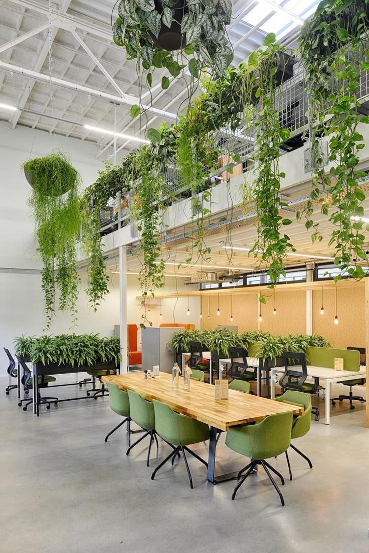 Biophilic Design Werkkamer - sfeervolle werkkamer 6