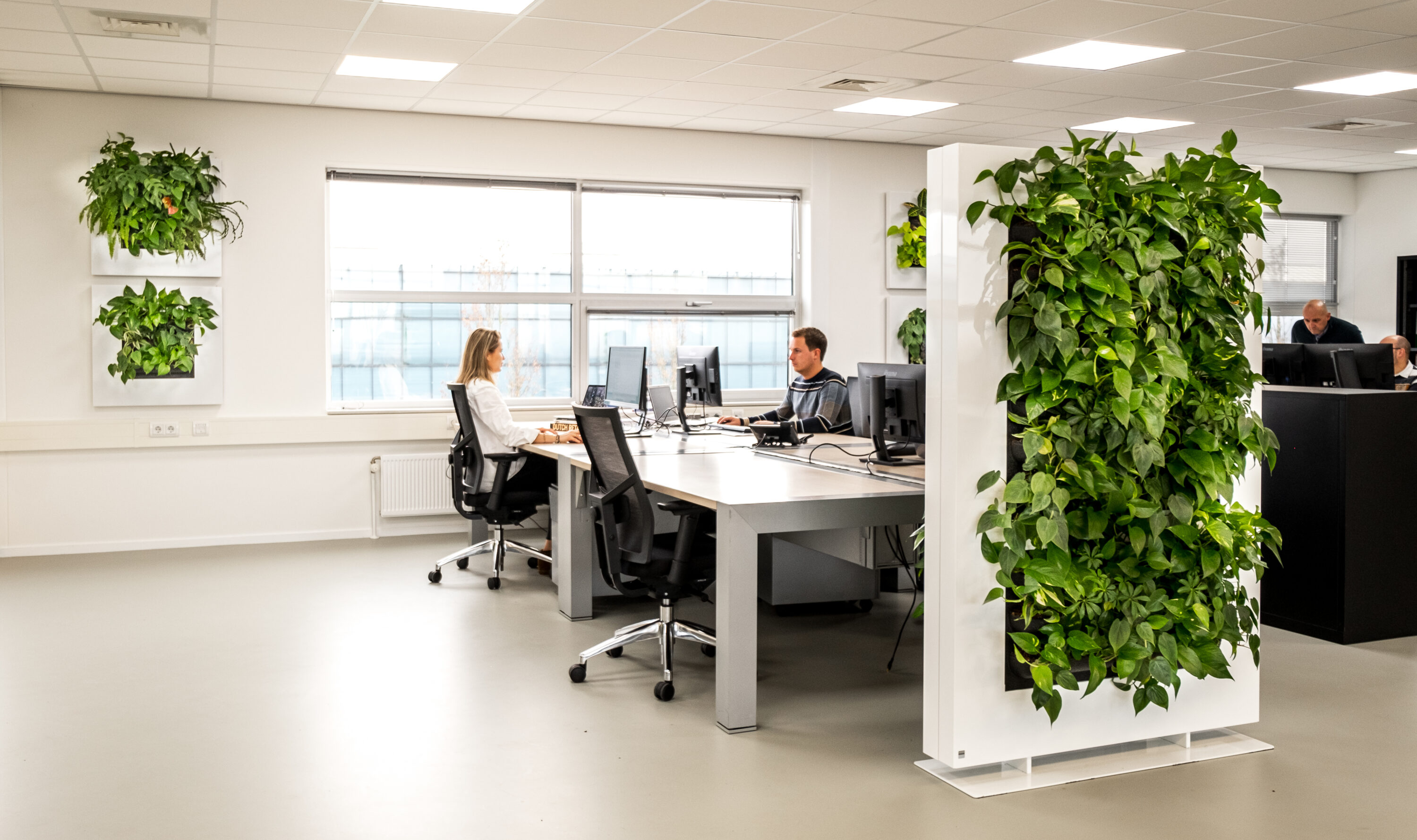 Biophilic Design Werkkamer - sfeervolle werkkamer 7
