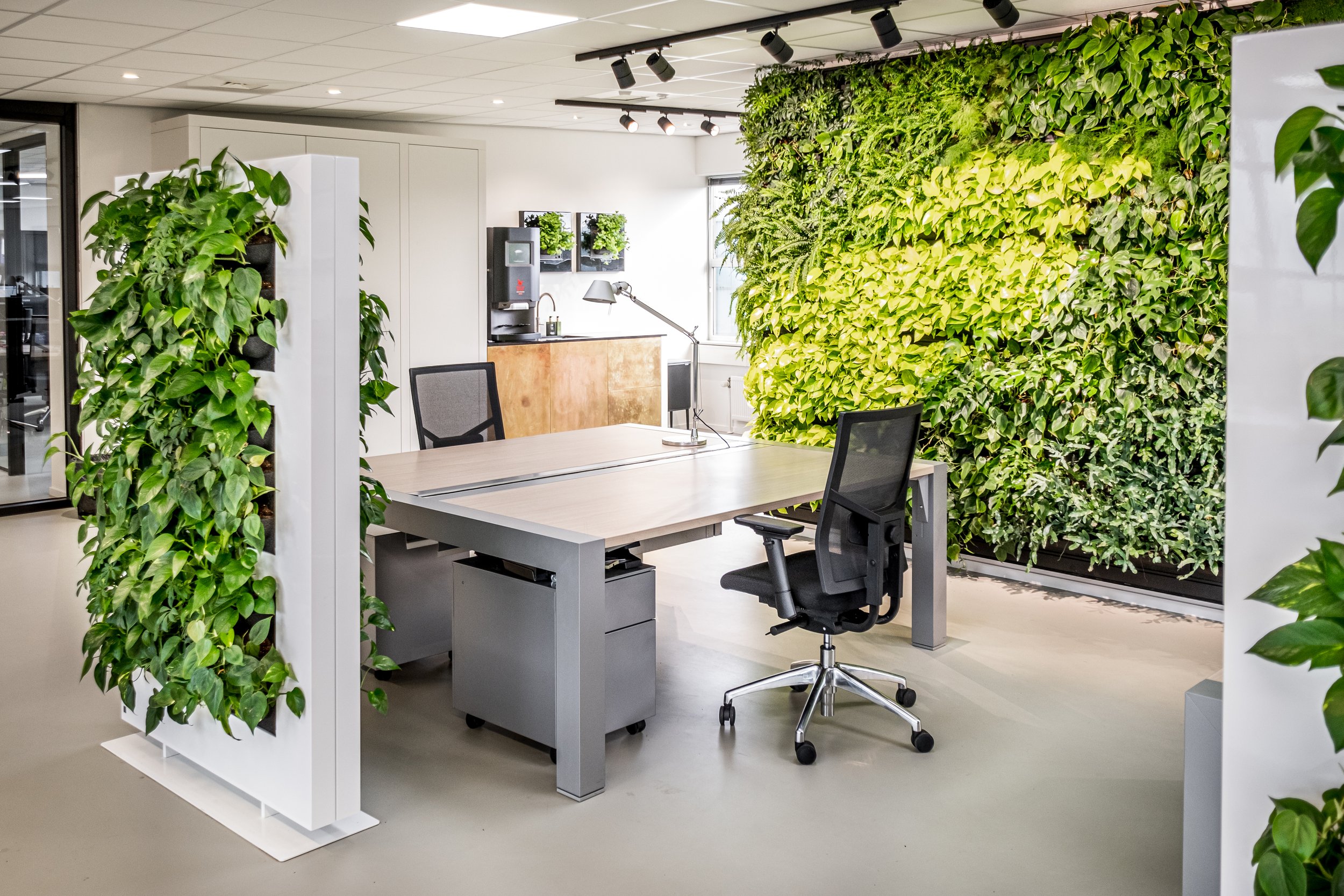 Biophilic Design Werkkamer - sfeervolle werkkamer 8