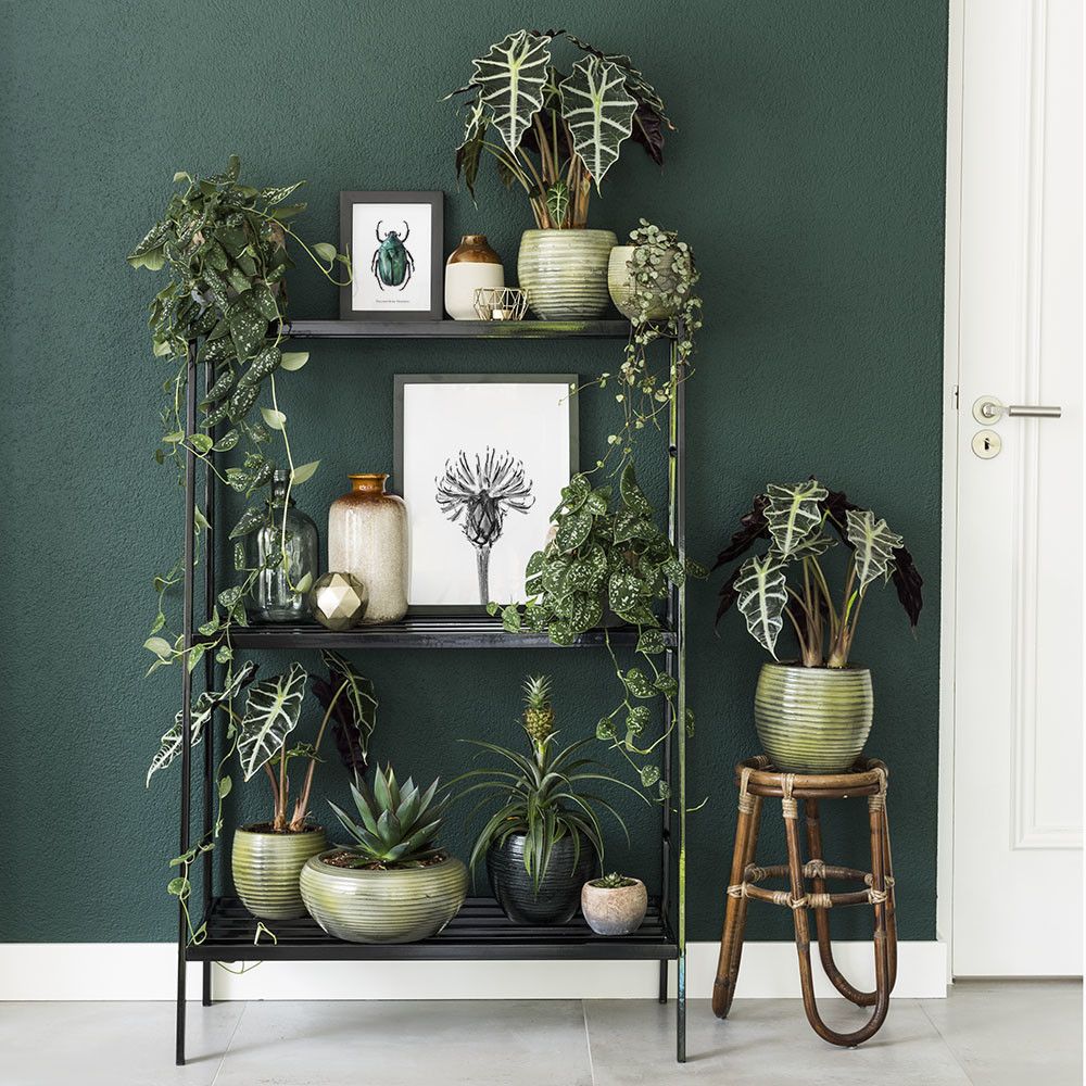 Botanisch Interieur Hal - sfeervolle hal 12