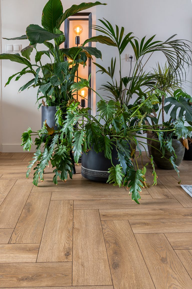 Botanisch Interieur Hal - sfeervolle hal 17