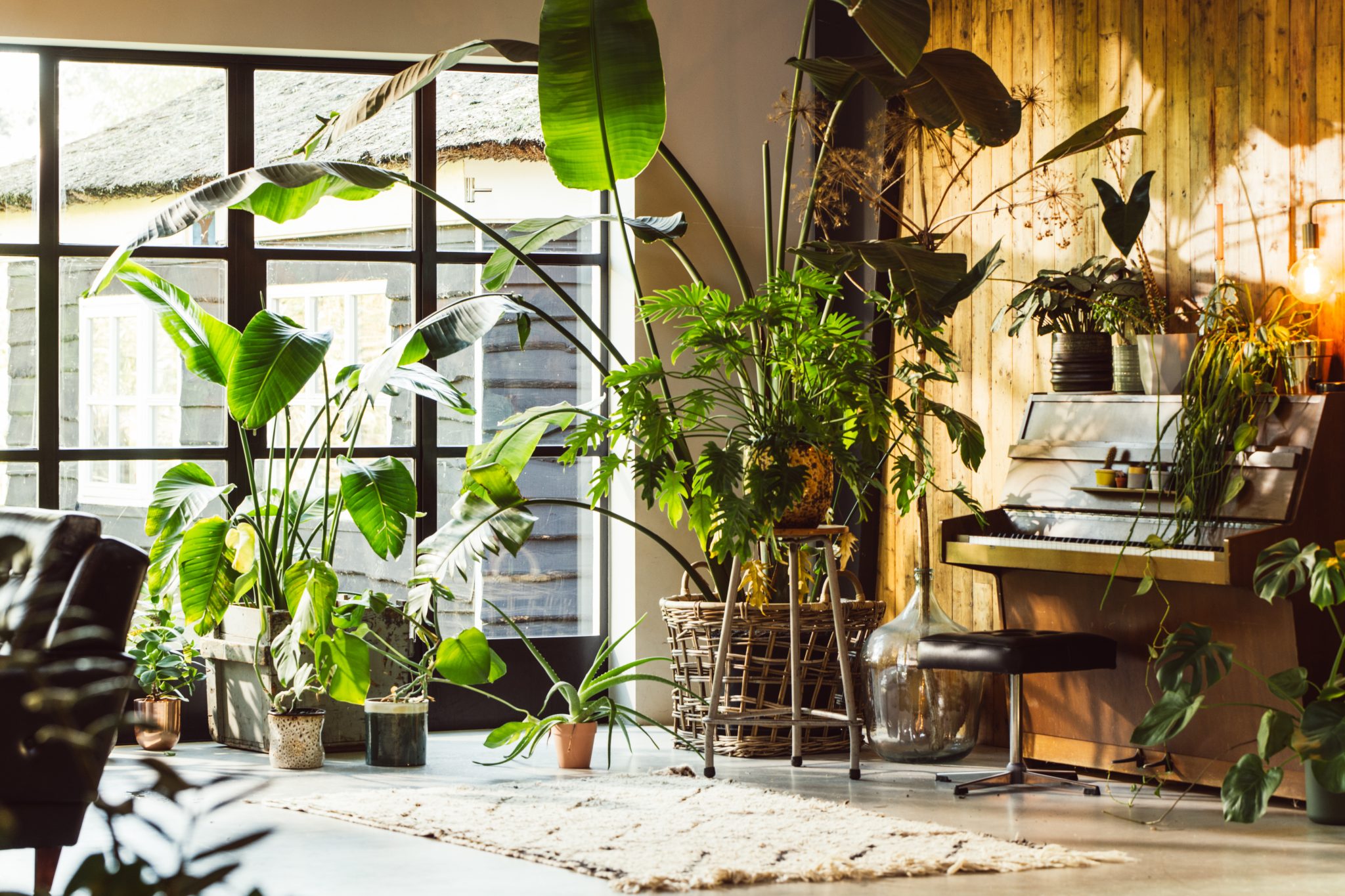 Botanisch Interieur Hal - sfeervolle hal 2