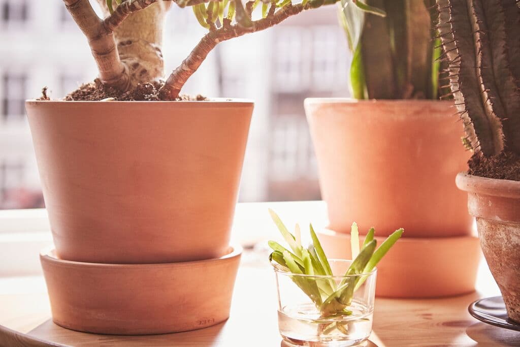 IKEA KOLMÅRDEN Terracotta Bloempot Set