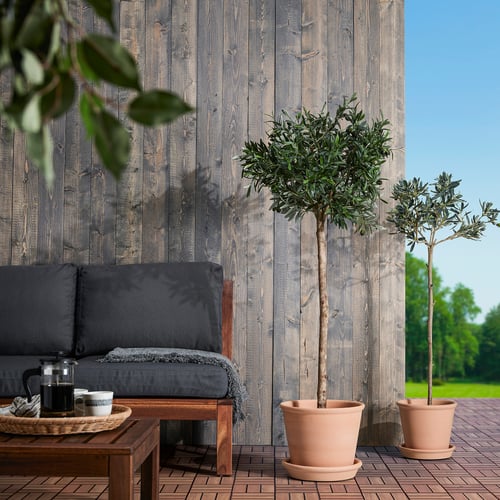 IKEA RÅGSVED terracotta pot groot